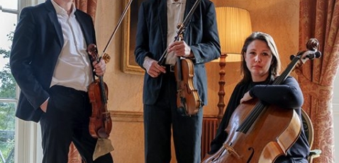 Bruiloft-muziek violisten.nl Bruiloft-muziek violisten.nl