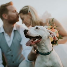Jullie hond op de bruiloft?