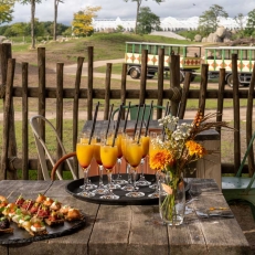 Feestlocaties WILDLANDS Feestlocaties WILDLANDS