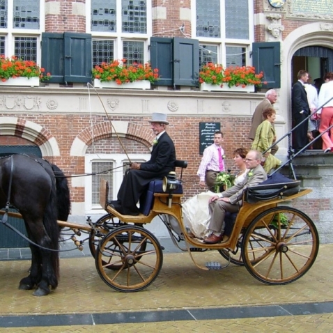 Trouwvervoer Stalhouderij de Fiifhoeke