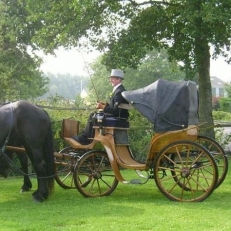 trouwvervoer Stalhouderij de Fiifhoeke origineel trouwvervoer in Friesland