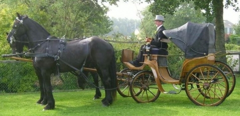 Trouwvervoer Stalhouderij de Fiifhoeke