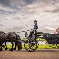 trouwvervoer Stalhouderij de Fiifhoeke origineel trouwvervoer in Friesland