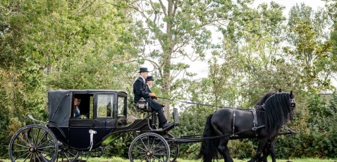 Trouwvervoer Stalhouderij de Fiifhoeke Trouwvervoer Stalhouderij de Fiifhoeke