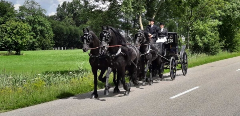 Trouwvervoer Stalhouderij de Fiifhoeke Trouwvervoer Stalhouderij de Fiifhoeke