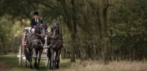 Trouwvervoer Stal de Hoefslag Trouwvervoer Stal de Hoefslag