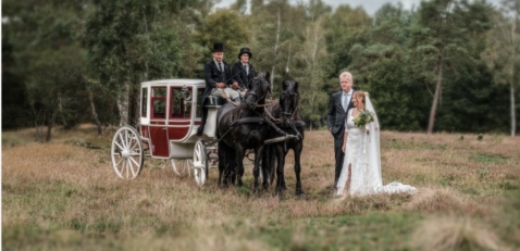 Trouwvervoer Stal de Hoefslag Trouwvervoer Stal de Hoefslag