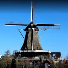 trouwlocaties Molen de Korenaar authentieke trouwlocatie met twee zalen, een bar en grote tuin