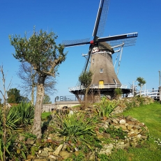 trouwlocaties Molen de Korenaar authentieke trouwlocatie met twee zalen, een bar en grote tuin