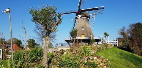 Trouwlocaties Molen de Korenaar Trouwlocaties Molen de Korenaar