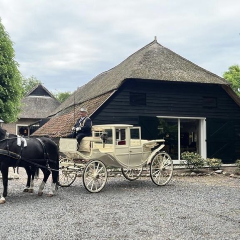 Feestlocaties Narline