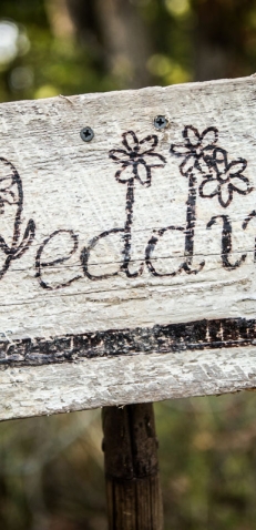 Weddingplanner Pr8feest Weddingplanner Pr8feest