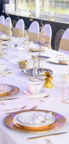 Feestlocaties Partyboot De Rotterdammer