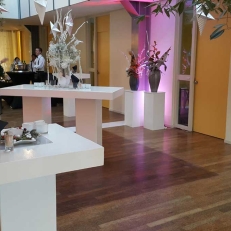 Catering-Partyverhuur Party & Deco Verhuur Limburg Catering-Partyverhuur Party & Deco Verhuur Limburg