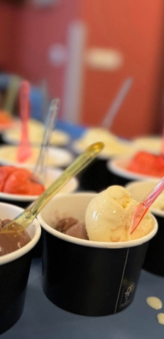 Catering-Partyverhuur De IJsmannetjes