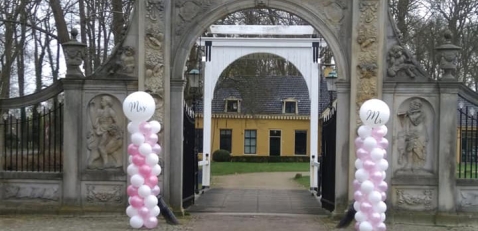 Decoratie-styling Ballonvertier Decoratie en Partyverhuur Decoratie-styling Ballonvertier Decoratie en Partyverhuur