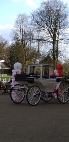 Decoratie-styling Ballonvertier Decoratie en Partyverhuur Decoratie-styling Ballonvertier Decoratie en Partyverhuur