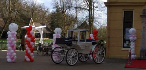 Decoratie-styling Ballonvertier Decoratie en Partyverhuur Decoratie-styling Ballonvertier Decoratie en Partyverhuur