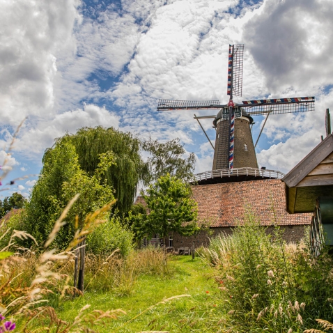 Trouwlocaties De Hompesche Molen Trouwlocaties De Hompesche Molen