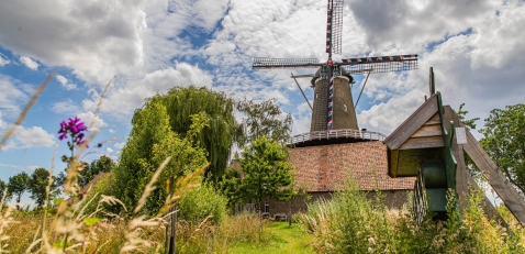 Trouwlocaties De Hompesche Molen Trouwlocaties De Hompesche Molen