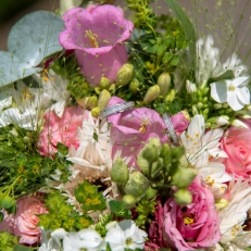  Kimberly Linders Fotografie Creatief, puur en persoonlijk