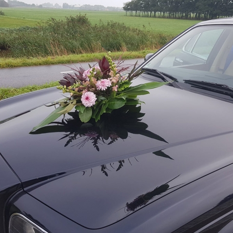 Trouwvervoer ikzoekeenmooietrouwauto.nl Trouwvervoer ikzoekeenmooietrouwauto.nl