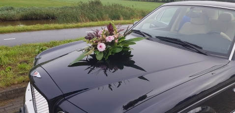 Trouwvervoer ikzoekeenmooietrouwauto.nl Trouwvervoer ikzoekeenmooietrouwauto.nl