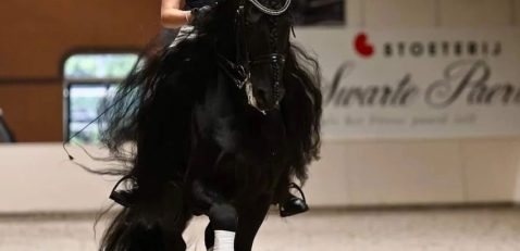 Feestlocaties Stoeterij Het Swarte Paert