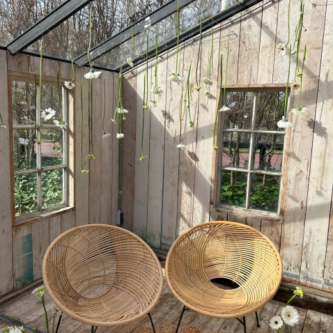 Vrijgezellenfeest Studio Blomster