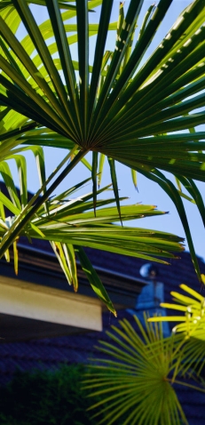 Feestlocaties De Koppenjan