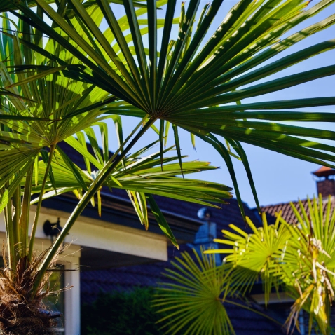 Feestlocaties De Koppenjan