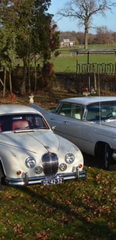 Trouwvervoer Aanstaande Vervoer Service