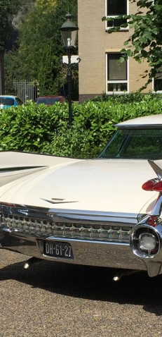 Trouwvervoer Aanstaande Vervoer Service