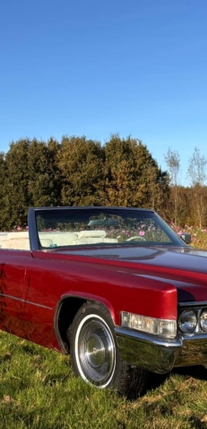 Trouwauto Trouwauto Leeuwarden