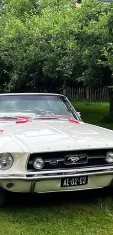 Trouwauto R&R Trouwauto’s