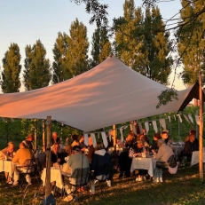 trouwlocaties De Thaborhoeve Trouwen in de wijngaard bij Sneek