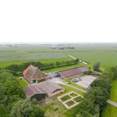 trouwlocaties De Thaborhoeve Trouwen in de wijngaard bij Sneek