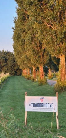 Feestlocaties De Thaborhoeve