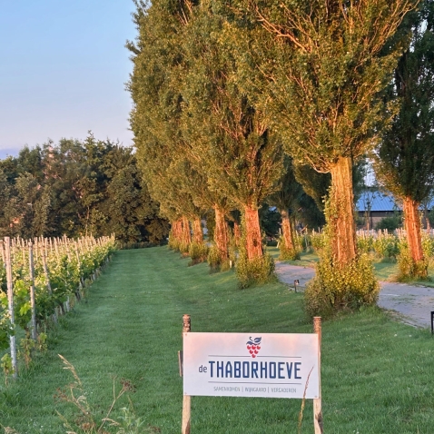 Feestlocaties De Thaborhoeve