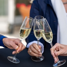 feestlocaties De Thaborhoeve Trouwen in de wijngaard bij Sneek