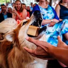  BestDayEver Fotografie Journalistieke trouwfotografie