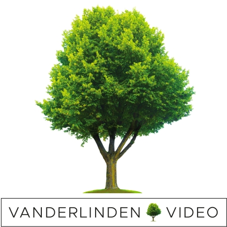 Bedrijfs logo