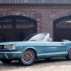 trouwvervoer Ten Cate Collection Klassieke trouwauto's voor een onvergetelijke bruiloft