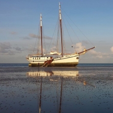 trouwlocaties Zeilschip Mars Bruiloft aan boord: 