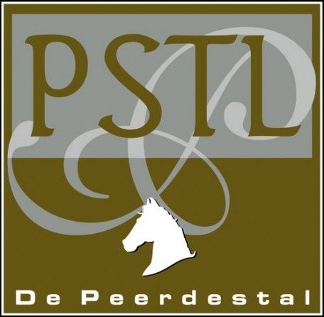 Bedrijfs logo