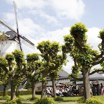 trouwlocaties 't Sfeerhuys | Feest- en trouwlocatie volop sfeer in een groen stukje stad