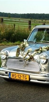 Trouwvervoer Mini trouwauto's.nl Trouwvervoer Mini trouwauto's.nl