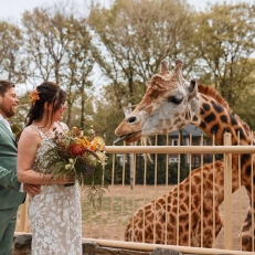 trouwlocaties Ouwehands Dierenpark Rhenen trouwen in Afrika... dichterbij dan je denkt!
