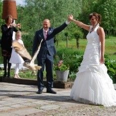  Rietland buiten trouwen in ons prachtige prieeltje