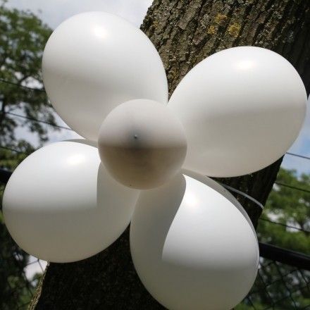 sfeermakers Balloons toonaangevende naam in de wereld van ballonnen